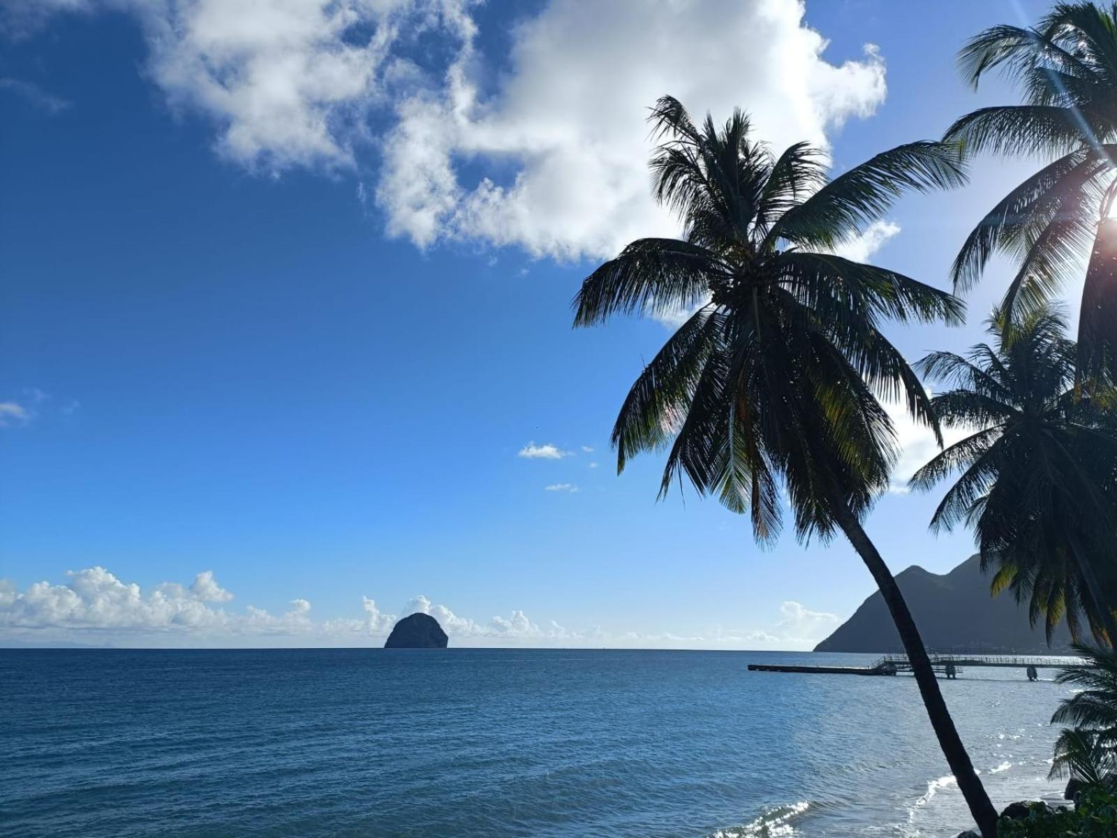 Le Madja'Kaz - Studio En Residence Et Bord De Mer - Sainte Luce Martinique Ngoại thất bức ảnh